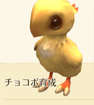 �`���R�{�琬