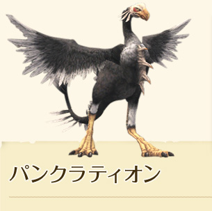 �p���N���e�B�I��