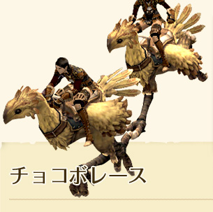 FINAL FANTASY XI