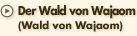 Der Wald von Wajaom (Wald von Wajaom)