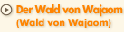 Der Wald von Wajaom (Wald von Wajaom)