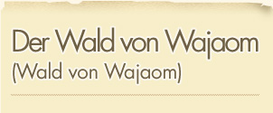 Der Wald von Wajaom (Wald von Wajaom)