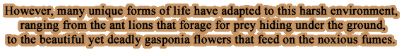 However, many unique forms of life have adapted to this harsh environment, ranging from the ant lions that forage for prey hiding under the ground, to the beautiful yet deadly gasponia flowers that feed on the noxious fumes.