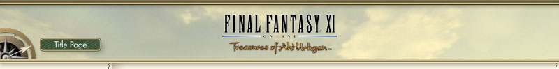 FINAL FANTASY XI Treasures of Aht Urhgan