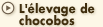 L'élevage de chocobos