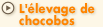 L'élevage de chocobos