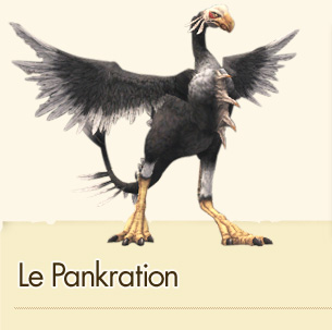 Le Pankration