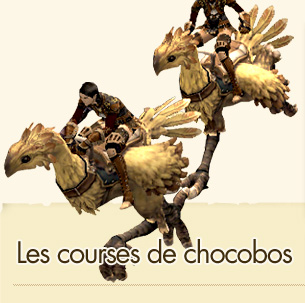 Les courses de chocobos
