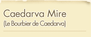 Caedarva Mire (Le Bourbier de Caedarva)
