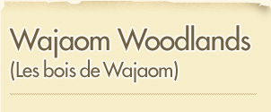 Wajaom Woodlands (Les bois de Wajaom)