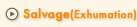 Salvage（Exhumation）