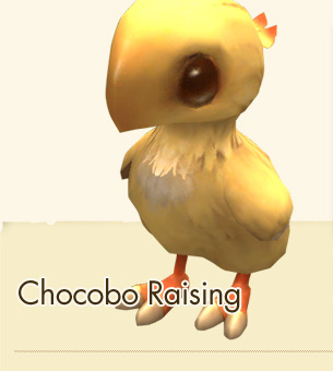 Chocobo Raising