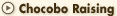 Chocobo Raising