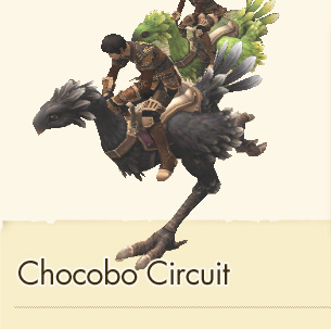 Chocobo Circuit