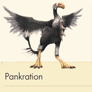 Pankration