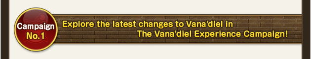 Campaign No. 1
Explore the latest changes to Vana'diel in the "The Vana'diel Experience Campaign"!