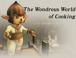 The Wondrous World of Cooking