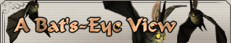 A Bat's-Eye View