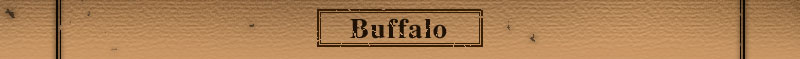 Buffalo