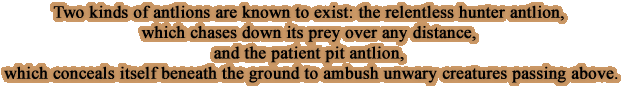 Two kinds of antlions are known to exist: the relentless hunter antlion, which chases down its prey over any distance, and the patient pit antlion, which conceals itself beneath the ground to ambush unwary creatures passing above.