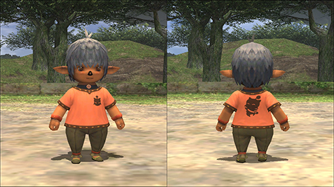 FINAL FANTASY XI Official Web Site