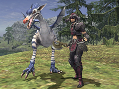 Featured image of post Ffxi Bst Guide Items armor weapons food conquest points furniture abjuration advanced search