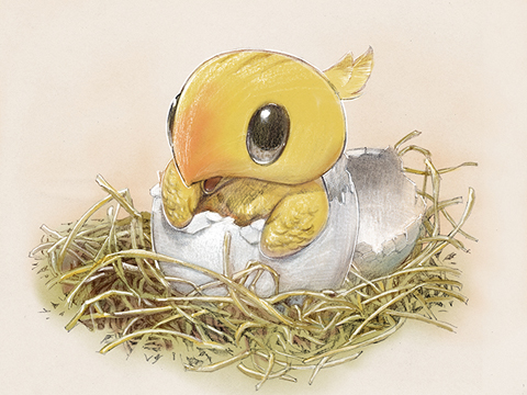 Baby Chocobo