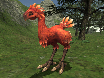 Chocobo Images