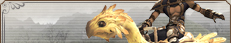 Dreamers Dash for Glory!